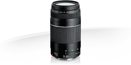 【グット】Canon 75-300 送料無料 デジタルカメラ